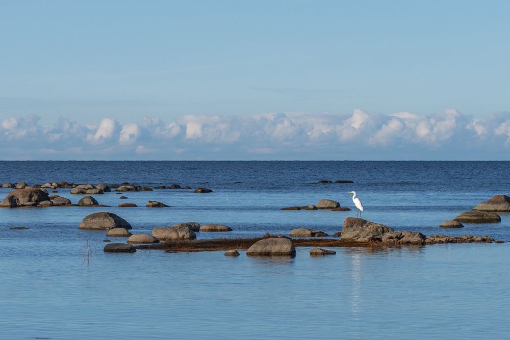 Photograph by Светлана Медведева