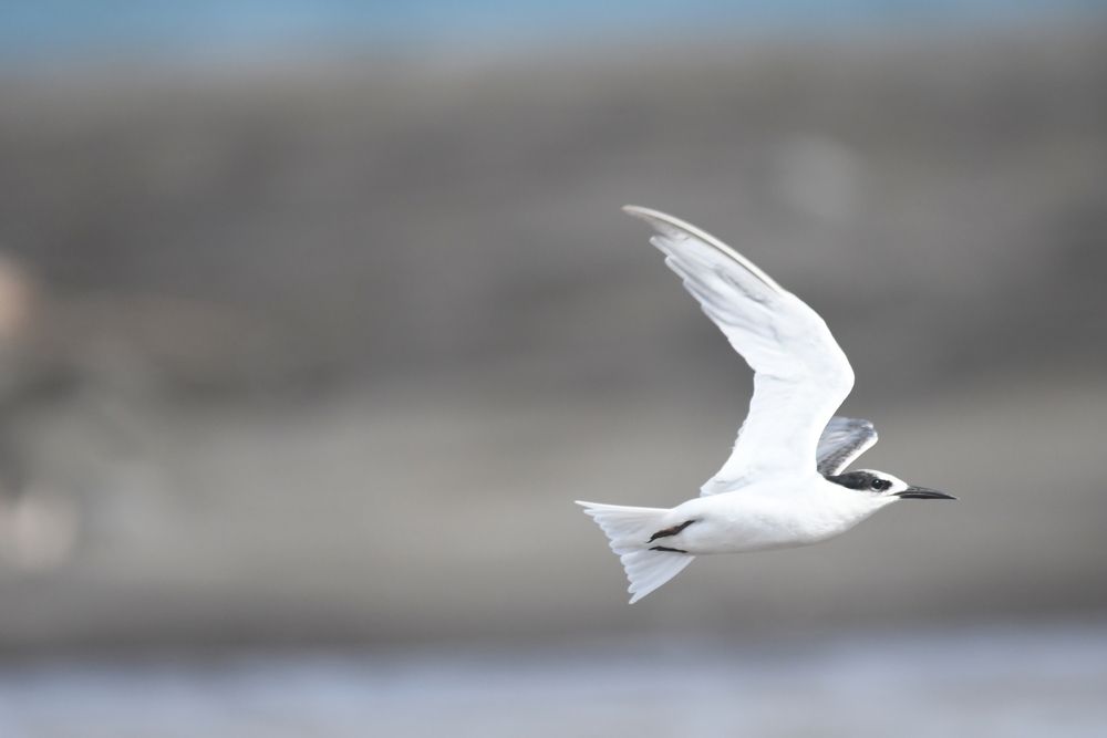 Photograph by Philyp Lucien