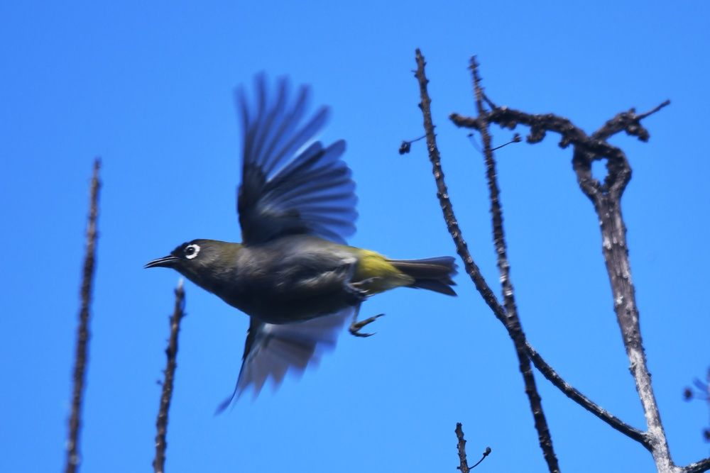 Photograph by Philyp Lucien