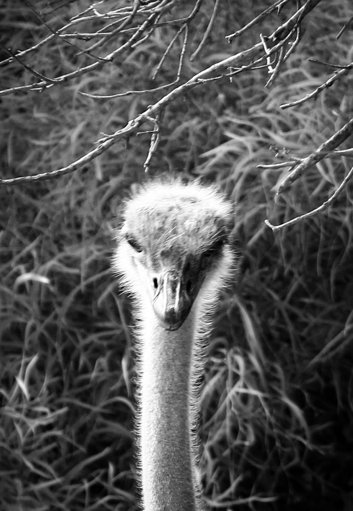 Фотография автора Андрей Безгин