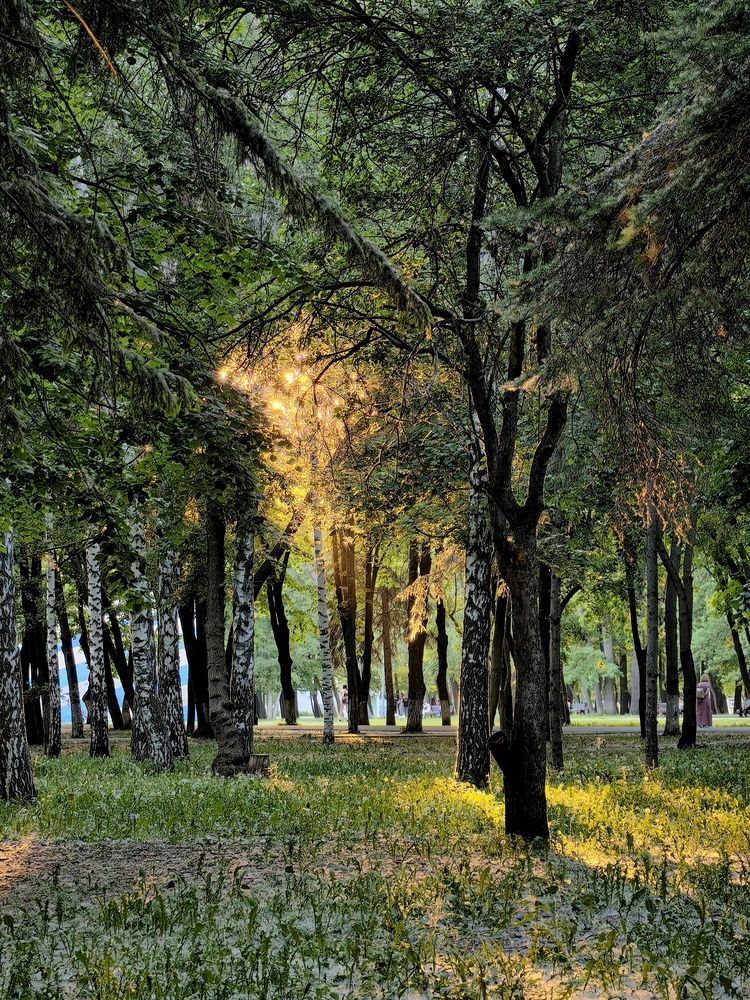 Photograph by Кристина Кублашвили