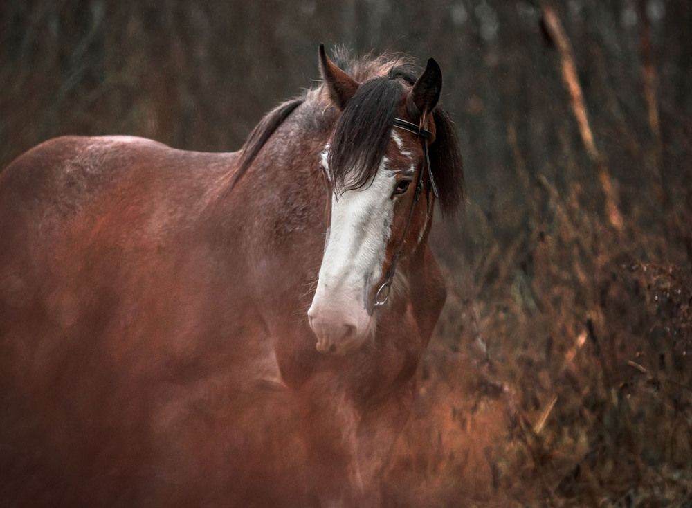 Photograph by Светлана Богданова