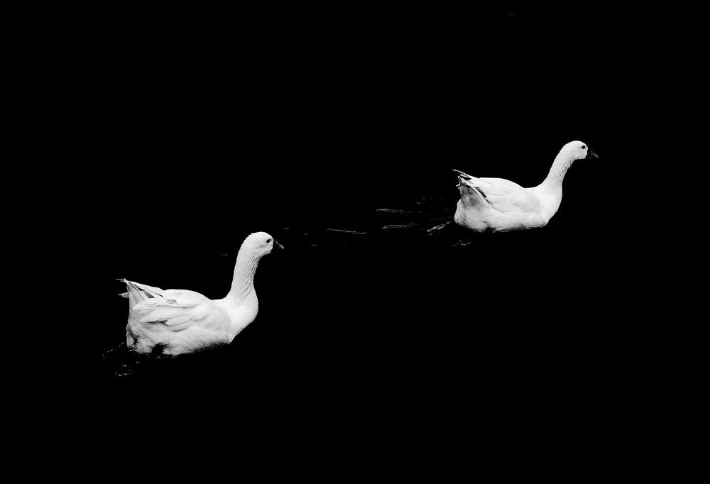 Фотография автора Андрей Безгин