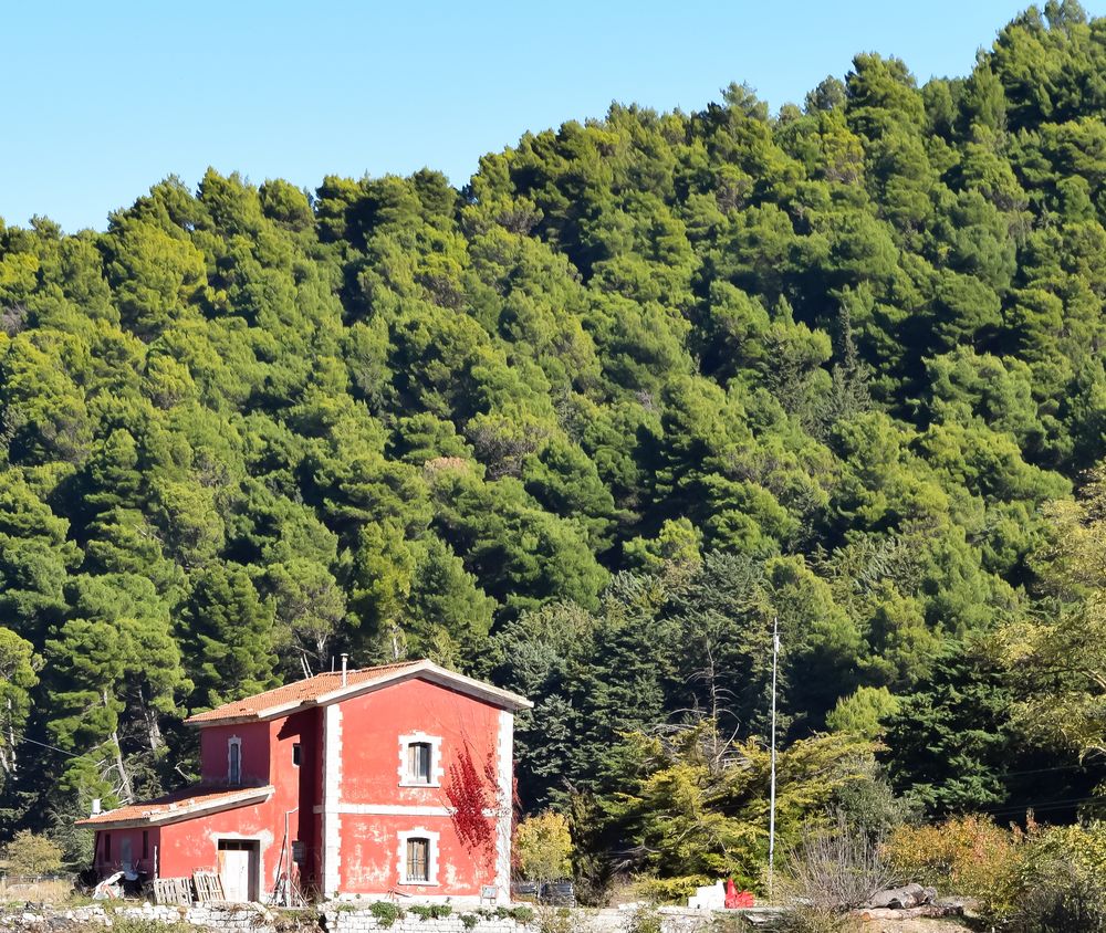 Фотография автора Vincenzo Tedesco