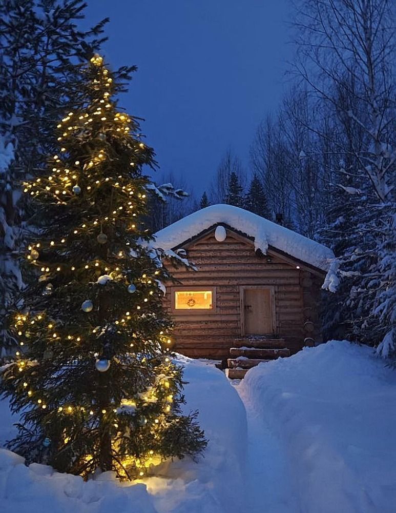 Photograph by Елена