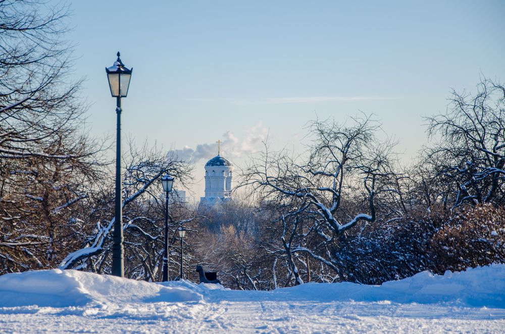 Photograph by Ольга Заповедная
