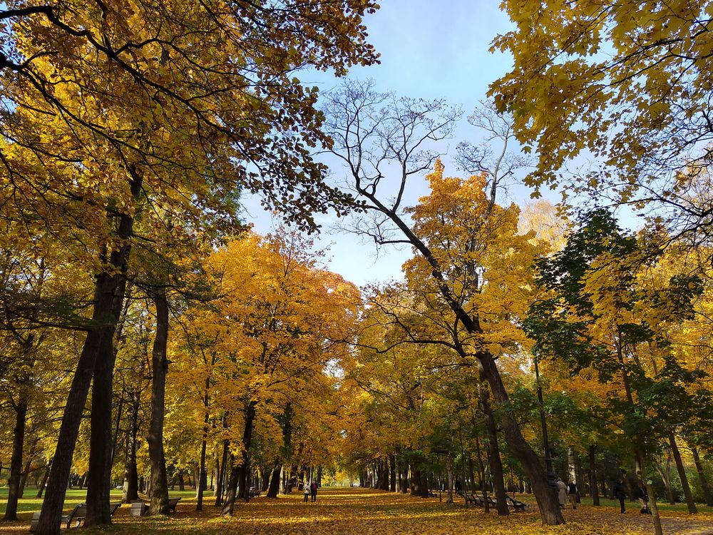 Photograph by Даниил Зайцев