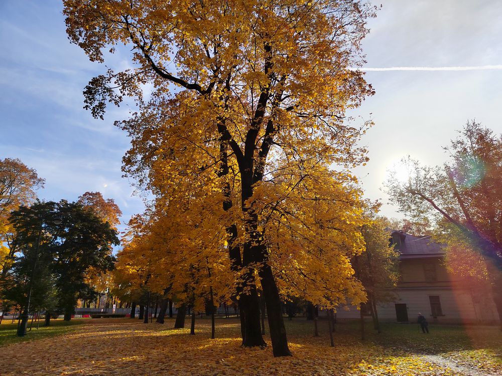 Photograph by Даниил Зайцев