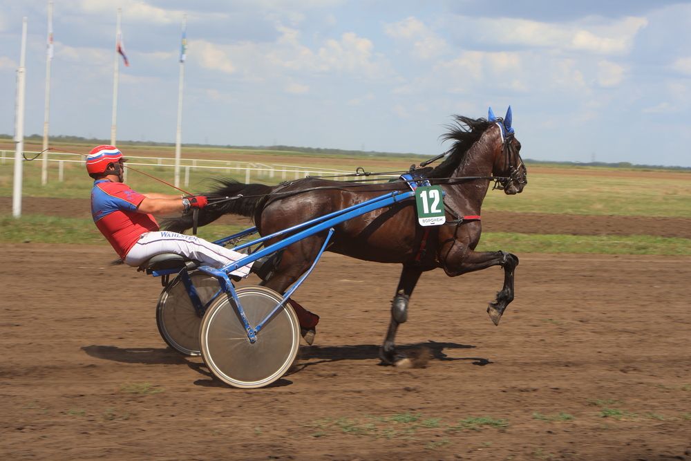 Photo #13078479