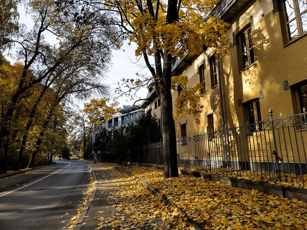 Photograph by Даниил Зайцев