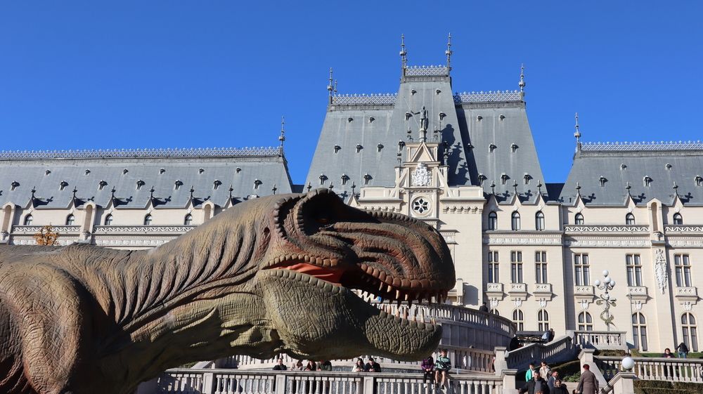 Photograph by Ириша Леконцева