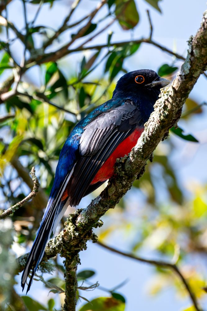 Photograph by Mateus Campos Felipe