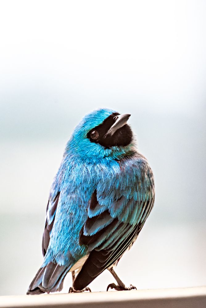 Photograph by Mateus Campos Felipe