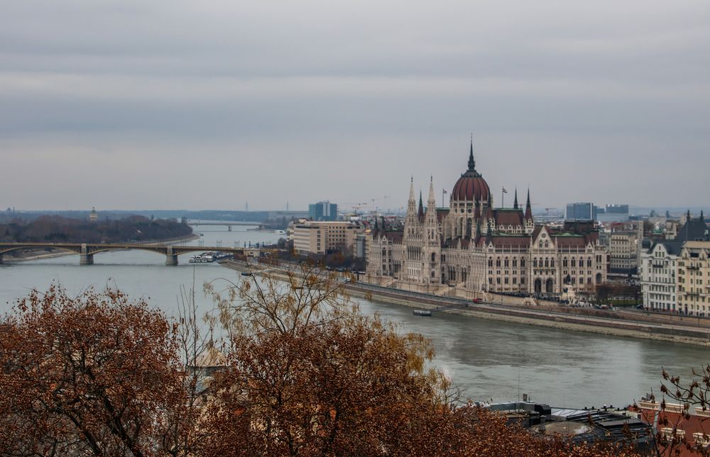 Фотография автора Eva Wiedemann