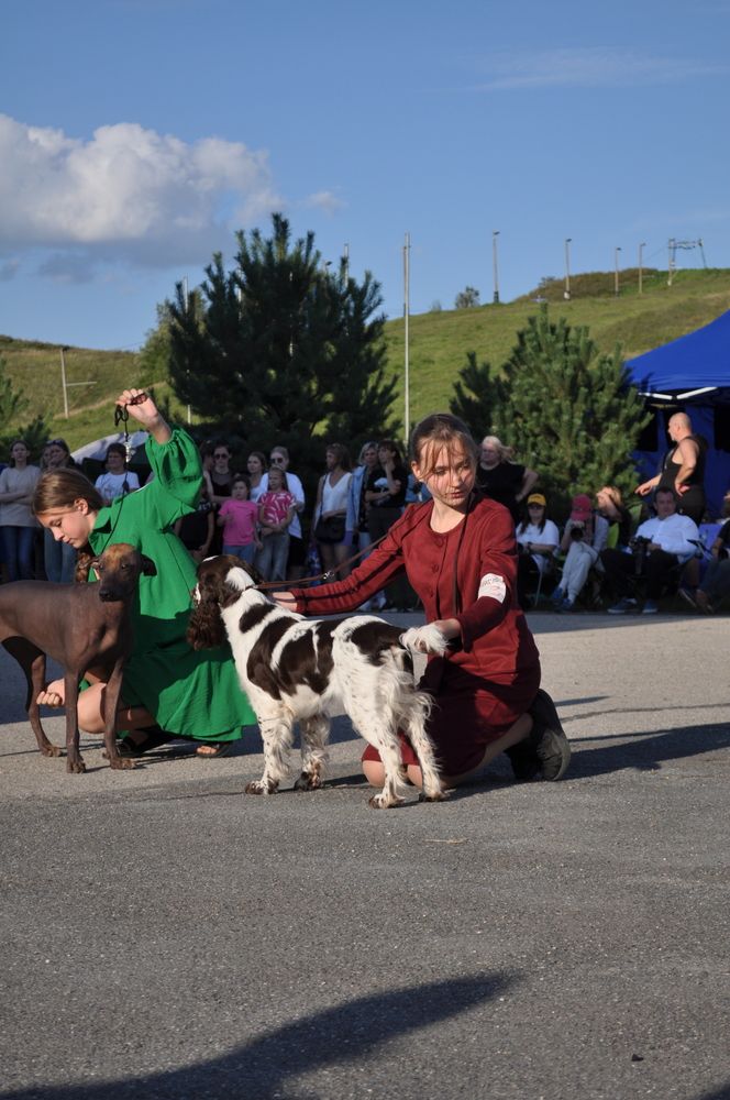 Photograph by Виктория Козакова
