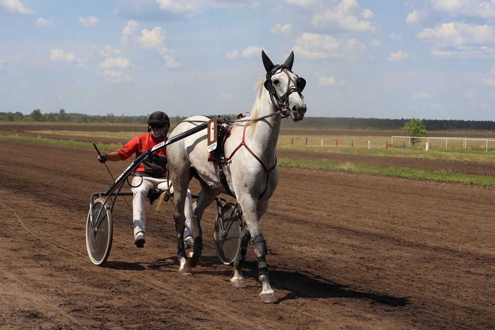Photo #13078585