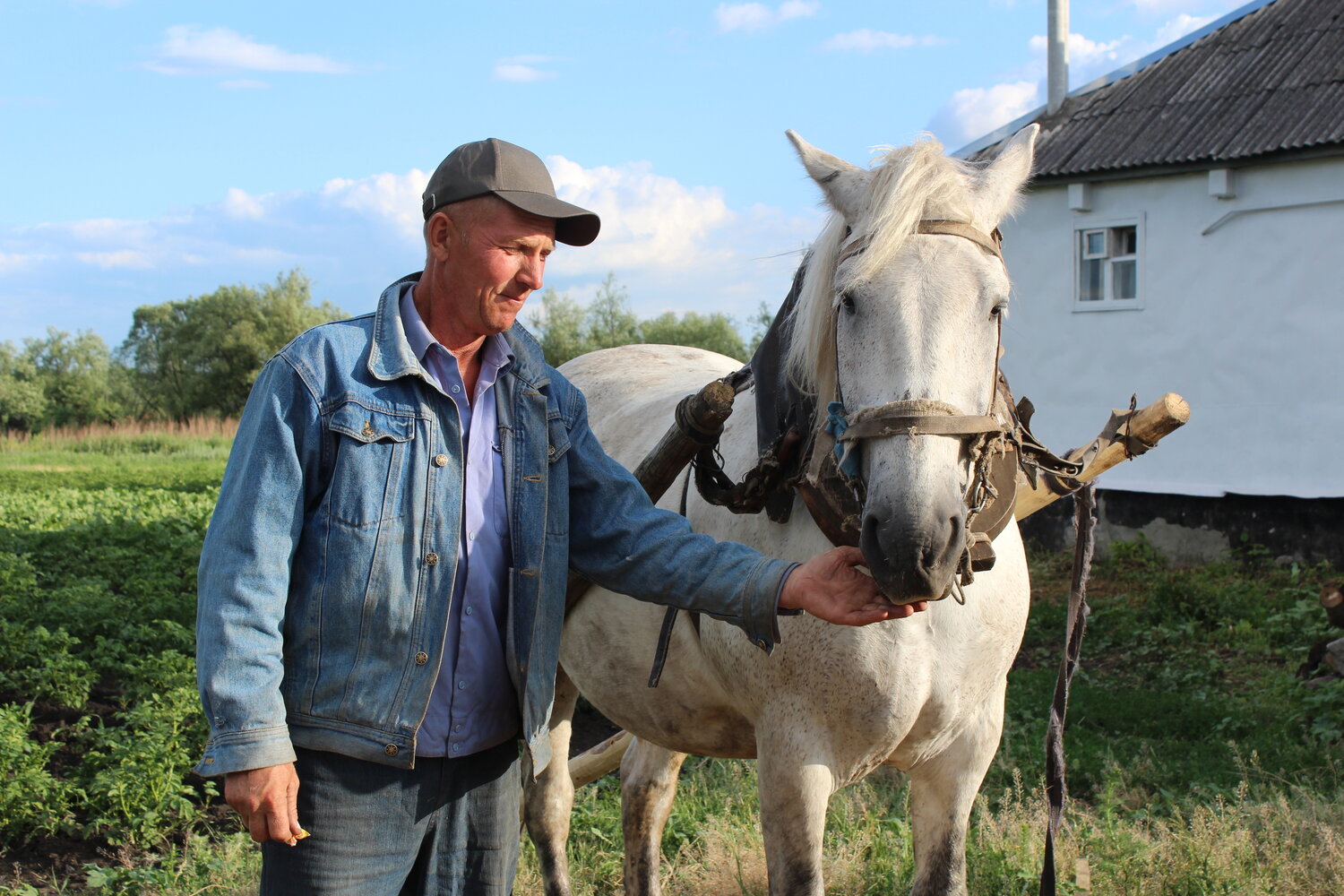 Photo #13078599