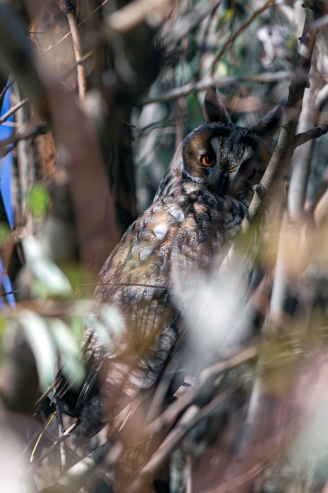 Photograph by Александр Лис