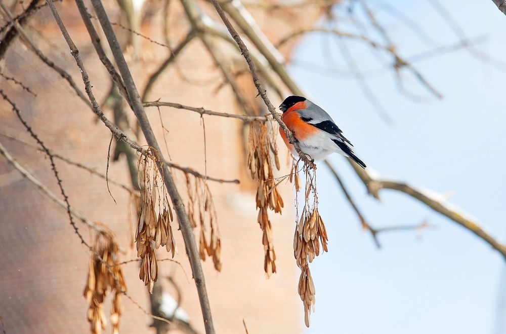 Photograph by  Валерий