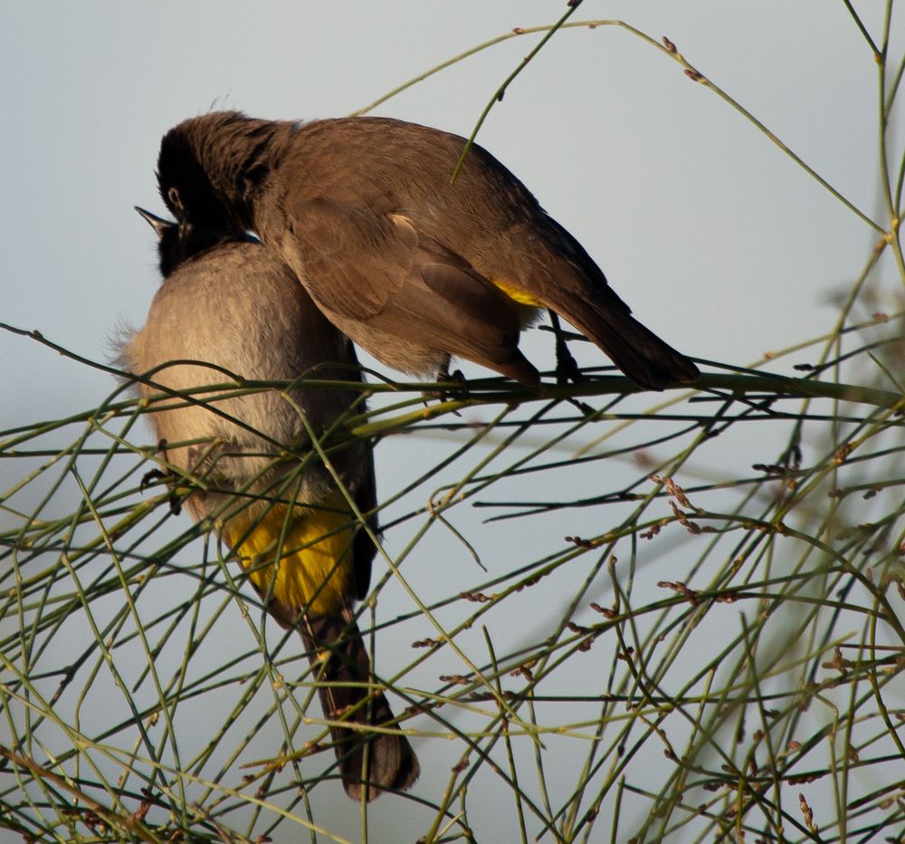 Photograph by Трегубов Лада