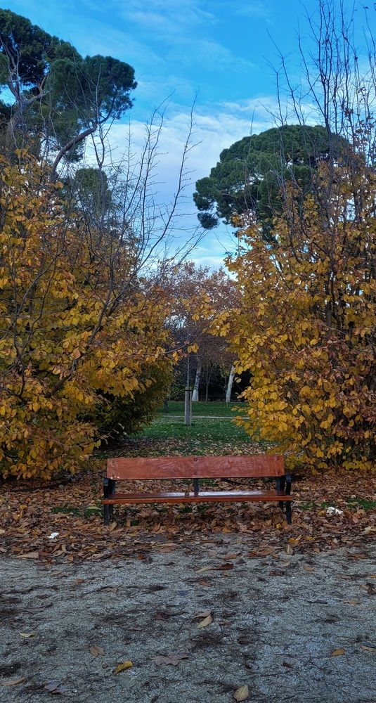 Фотография автора Juliana Pedevilla