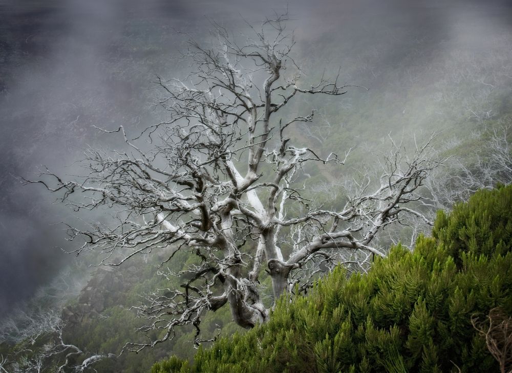 Photograph by Vladimir Chudopalov