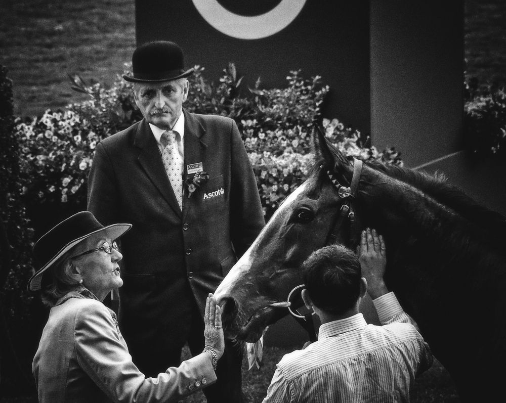 Фотография автора Елена Лаврова