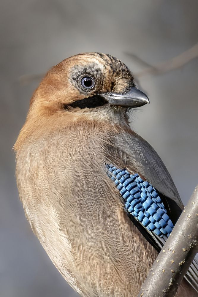 Photograph by Abdalova Tatiana