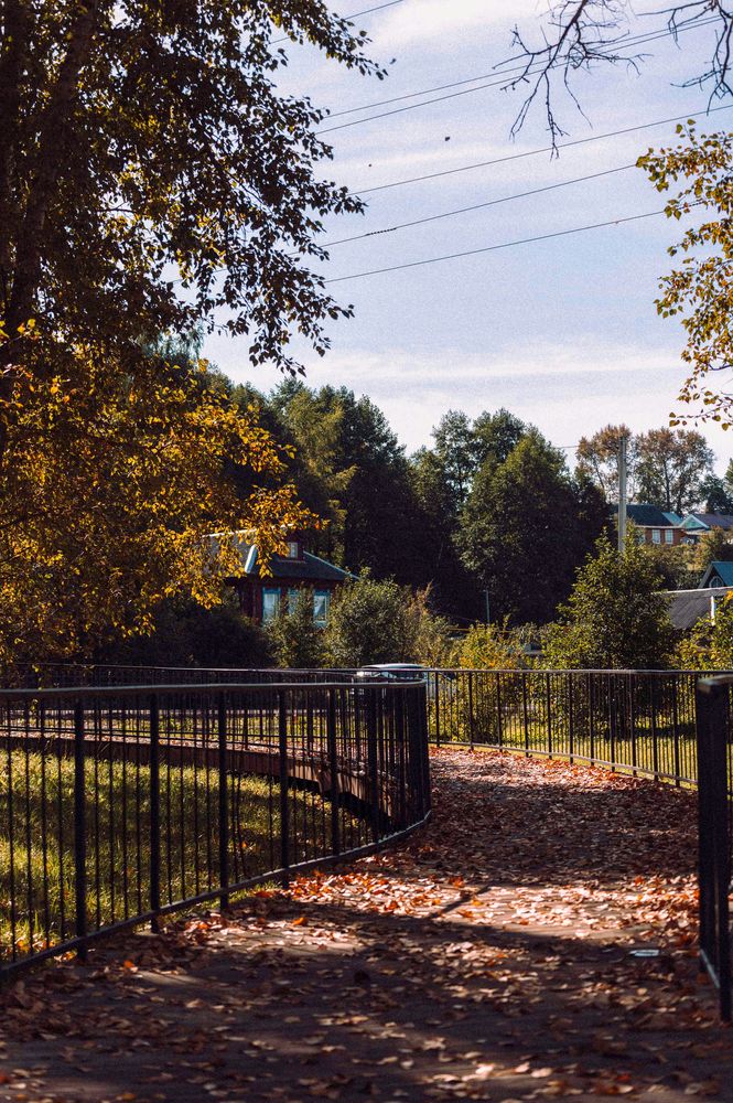 Photograph by Елена Ефимова