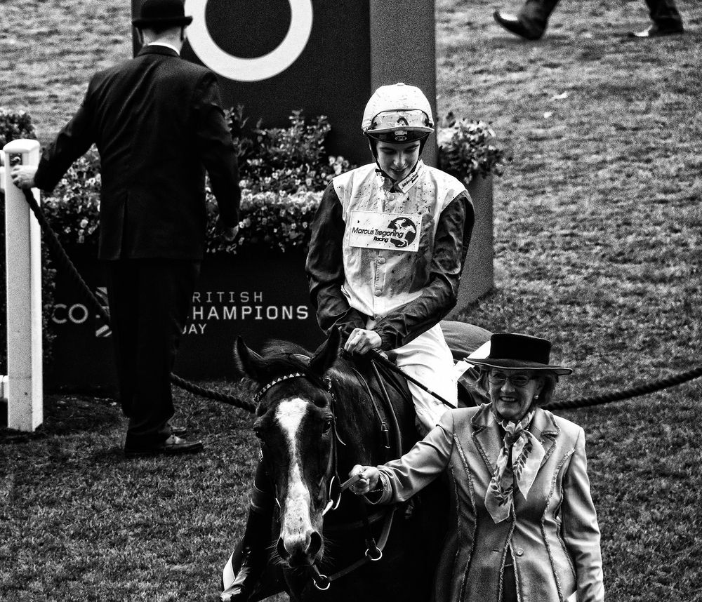 Фотография автора Елена Лаврова