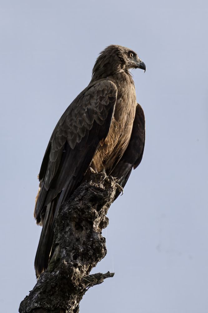 Photograph by Abdalova Tatiana