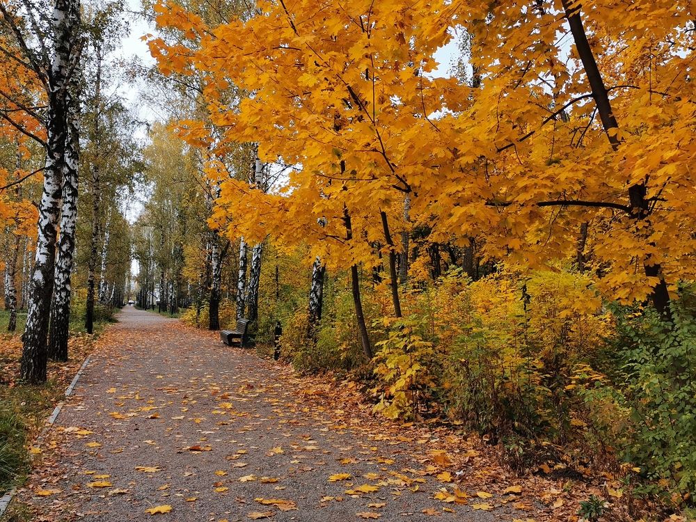 Photograph by Ольга Попченко