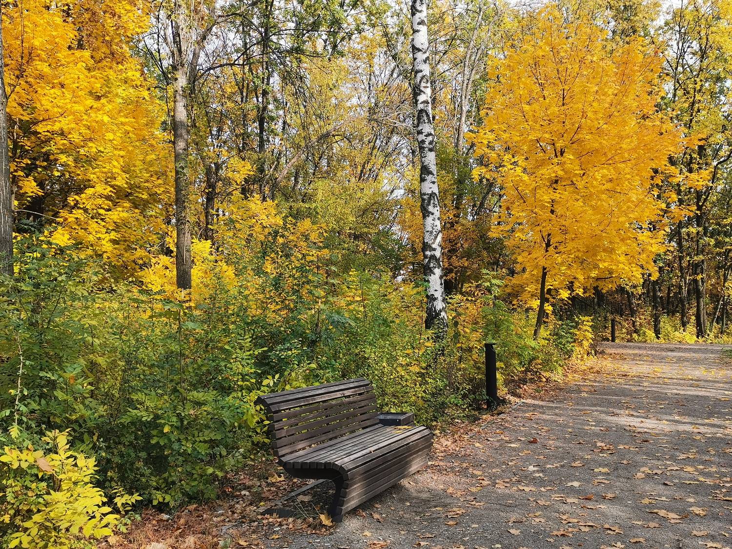 Photo #13078802
