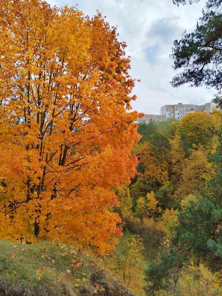 Photograph by Татьяна Солтан