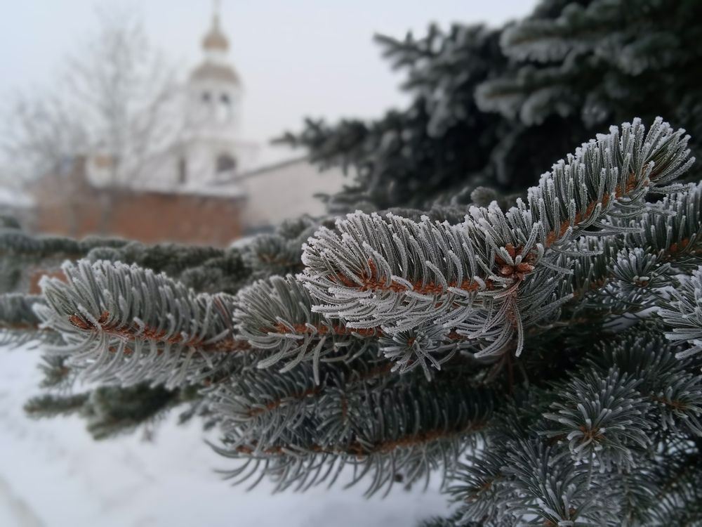 Photograph by Наталья Сорокина