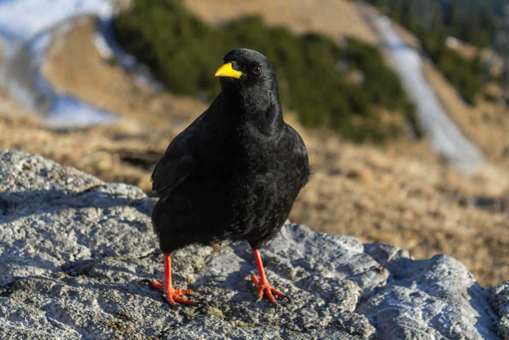 Photograph by Alexander Pakhomov