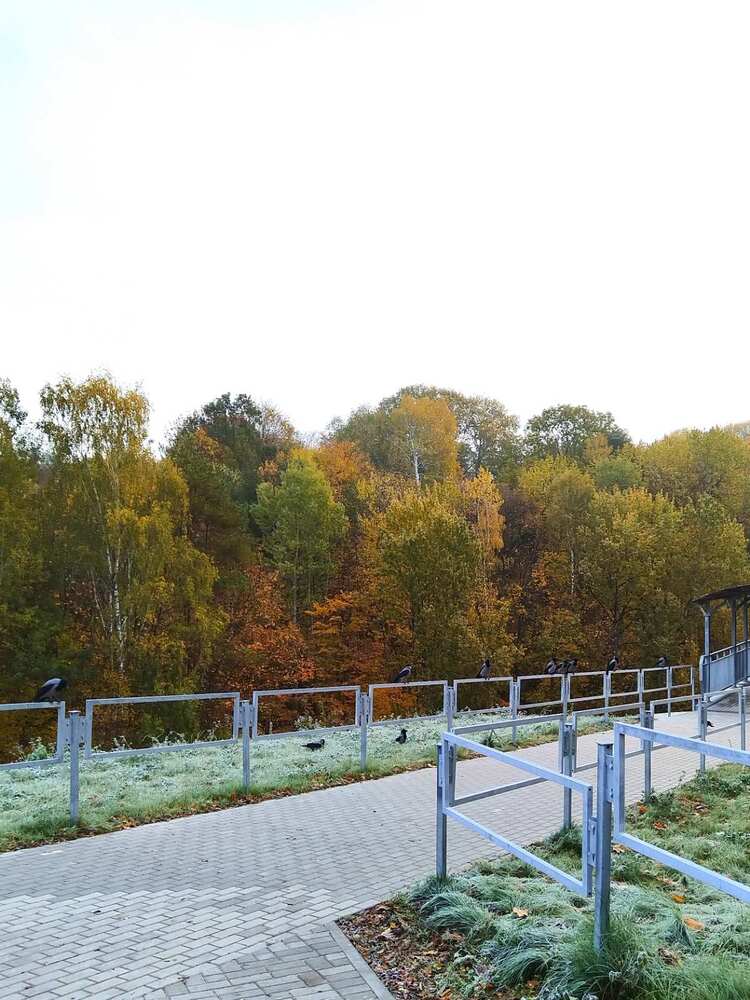 Photograph by Татьяна Солтан