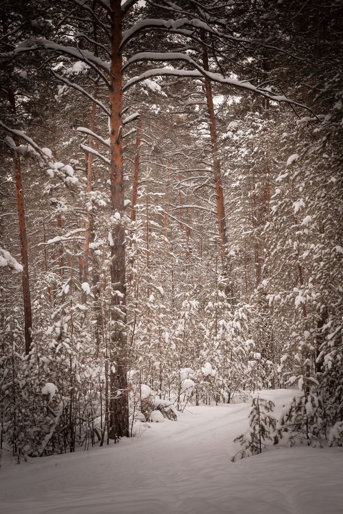 Photograph by Татьяна Гребенникова