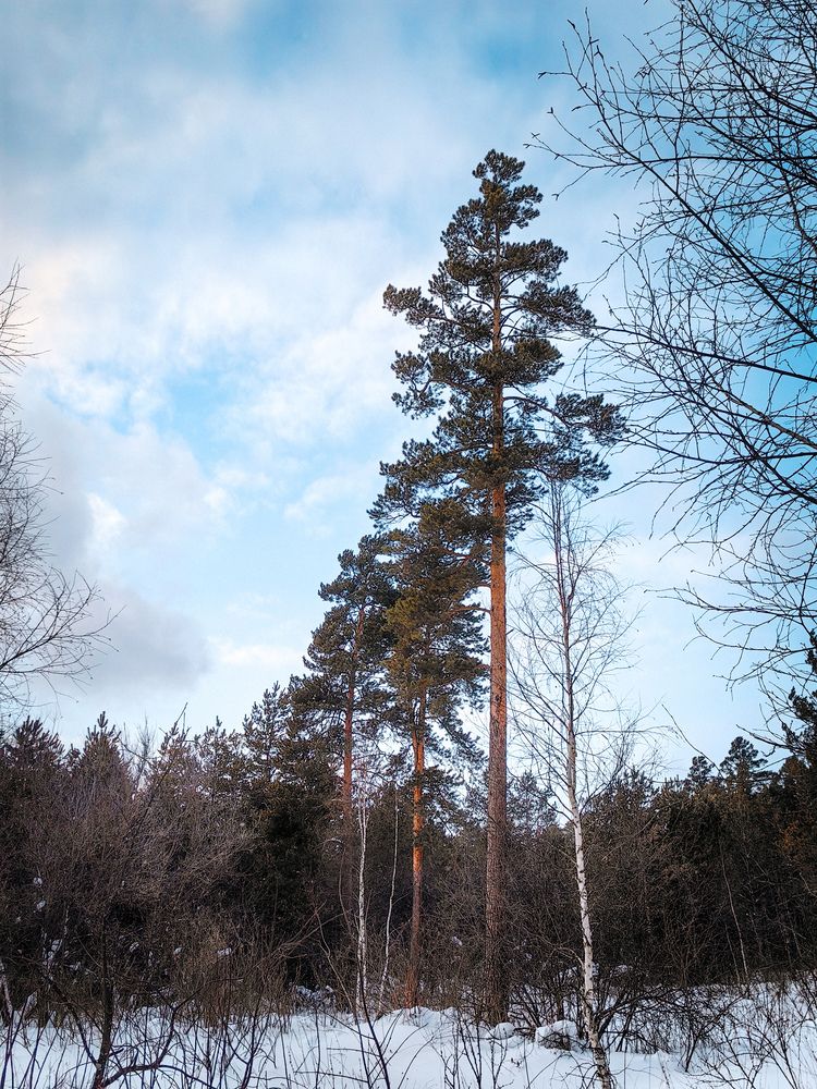 Photograph by Татьяна Гребенникова