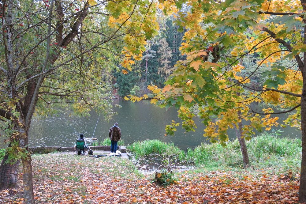 Photograph by ЭЛЬМИРА  ИСМАИЛОВА