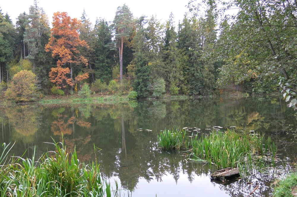 Photograph by ЭЛЬМИРА  ИСМАИЛОВА