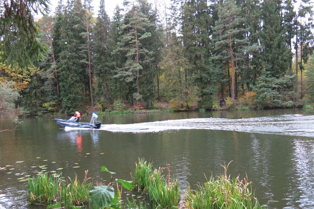 Photograph by ЭЛЬМИРА  ИСМАИЛОВА