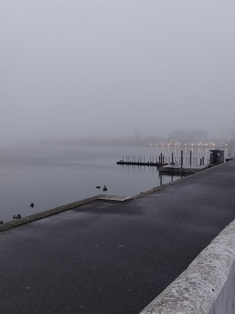 Photo #13078932