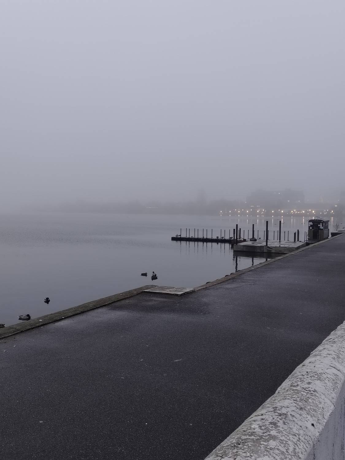 Photo #13078932