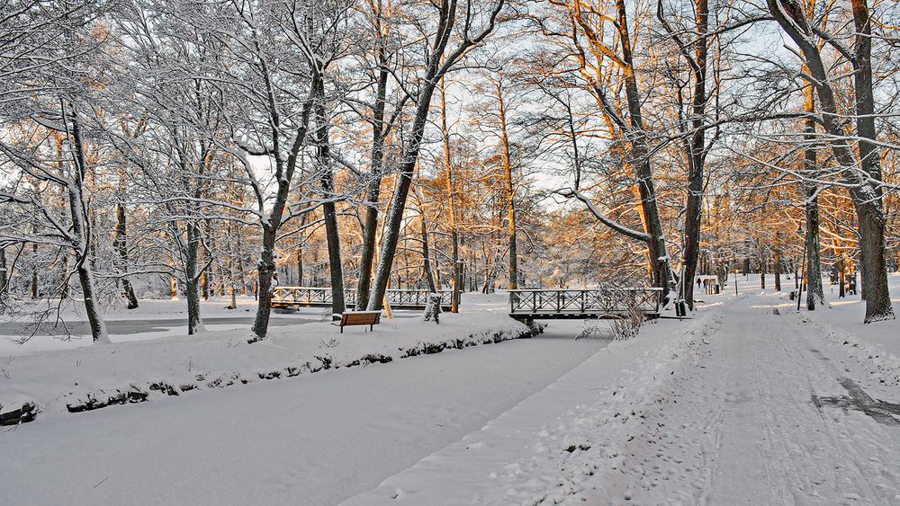 Забуриться бы и забыться ...