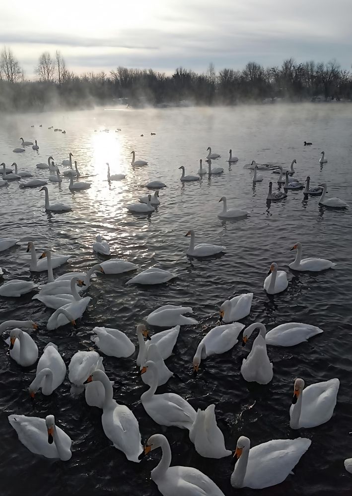 Photograph by Оксана