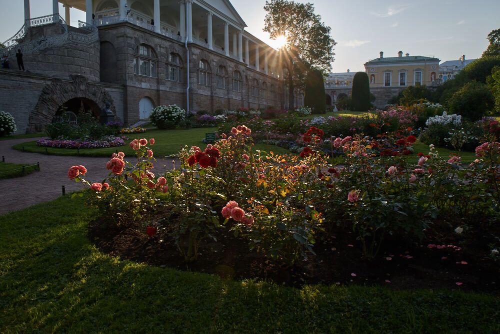 Фотография автора Харламова Валентина