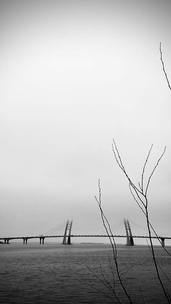 Photograph by Марина Дервиз