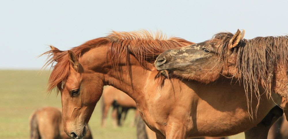 Photograph by Viktor Voynov
