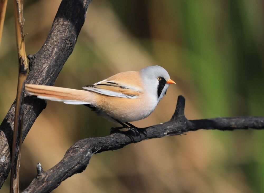 Photograph by Анна Колосова